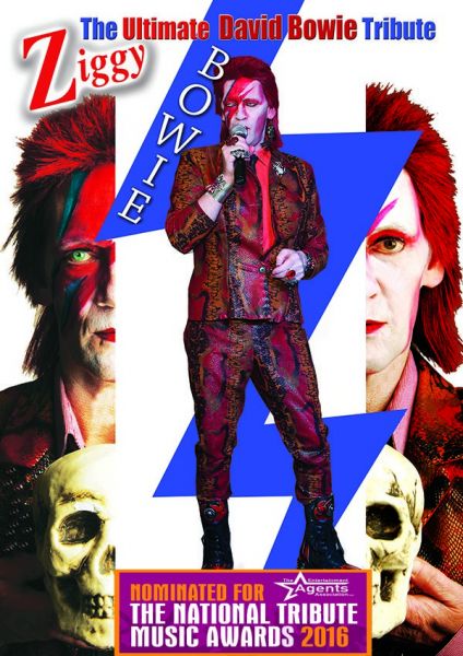 David Bowie Tribute