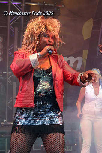 Tina Turner Tribute Act